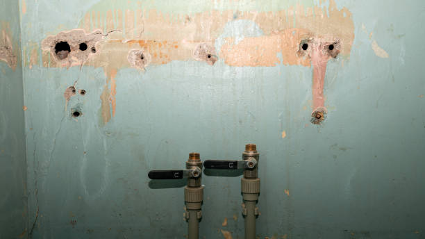 Best Water damage restoration near me  in St Clair, MO